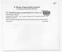 Image Associated With the Occurrence